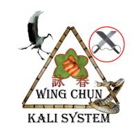 Wing Chun Kali System image 1