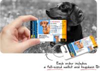 MyPetDMV - Pet Drivers License image 2