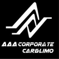  AAA Corporate Car and Limo image 1