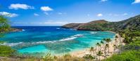 Discover Hawaii Tours image 6