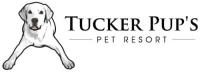 Tucker Pup's Pet Resort image 1