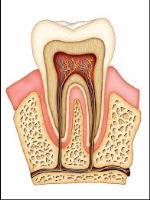 ATX Dental Specialists image 2