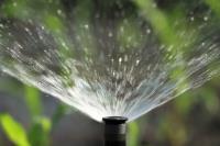 Kingwood Sprinkler image 1