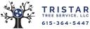 TriStar Tree Service logo