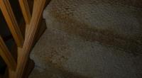 A-Best Carpet & Furniture Cleaning Corp image 4
