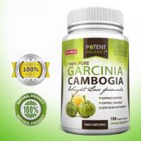 Lifeglo Garcinia Cambogia image 1