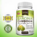 Lifeglo Garcinia Cambogia logo