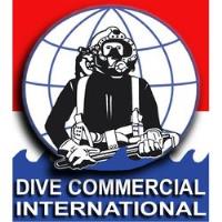 Dive Commercial International image 1