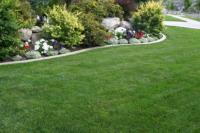 Fresh Cut Lawns & Landscaping image 2