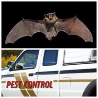 Bat Specialist of Wisconsin - Milwaukee image 1