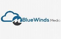 Blue Winds Media image 1