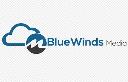 Blue Winds Media logo