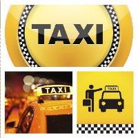 Sahlees Accessible Van Taxi image 1