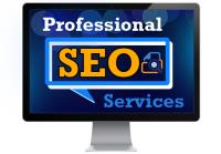 SSC India - Seo Services Company in Delhi image 3