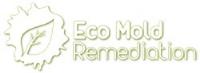 Eco Mold Remediation image 4