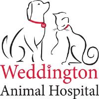 Weddington Animal Hospital image 1