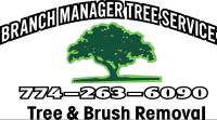 Branch Manager Tree Service LLC image 4