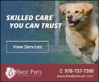 Best Pets Veterinary Hospital image 4