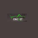 Cricket Pavers of Boca Raton logo