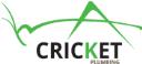 Cricket Plumbing of Miami Lakes logo