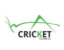 Cricket Plumbing of Doral logo