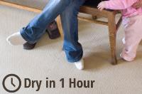 Heaven's Best Carpet Cleaning Bowling Green KY image 3