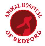 Animal Hospital of Bedford image 1