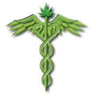 Miami Medical Marijuana Doctors image 1