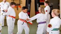 Bushido Academy of Traditional Martial Arts LLC image 3
