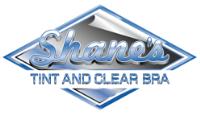 Shane's Tint & Clear Bra image 2