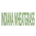 Indiana Wheatgrass image 1