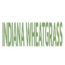 Indiana Wheatgrass logo