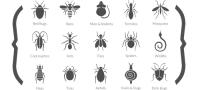 Termite and Pest Control, Inc. image 5