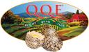 QQE Corp logo