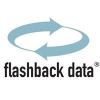 Flashback Data - Houston image 1