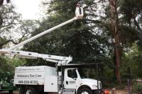 Andersons Tree Care image 4