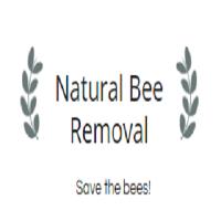 Natural Bee Removal South FL image 1