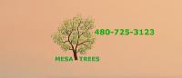 Mesa Trees image 1