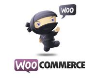 WooCommerce POS  - WooPOS image 11