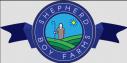 Shepherd Boy Farms logo