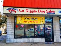 Cat Diggity Dog - Pet Grooming image 3
