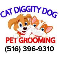 Cat Diggity Dog - Pet Grooming image 1