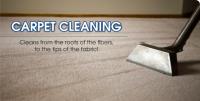 Arlington Carpet Cleaners image 5