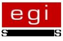 EGI Solutions logo
