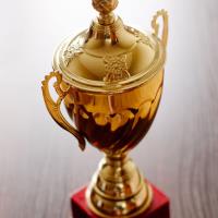 Crown Trophy image 1