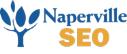 Naperville SEO Company logo