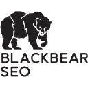 Black Bear SEO Raleigh logo