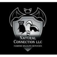 Natural Connection LLC Humane Wildlife Services image 1