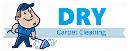 DRY CARPET CLEANING logo