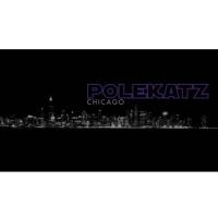 Polekatz Chicago Gentleman's Club image 1